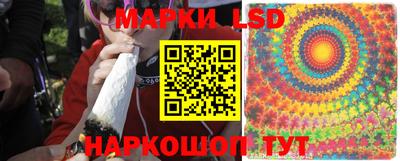 spice Волжск