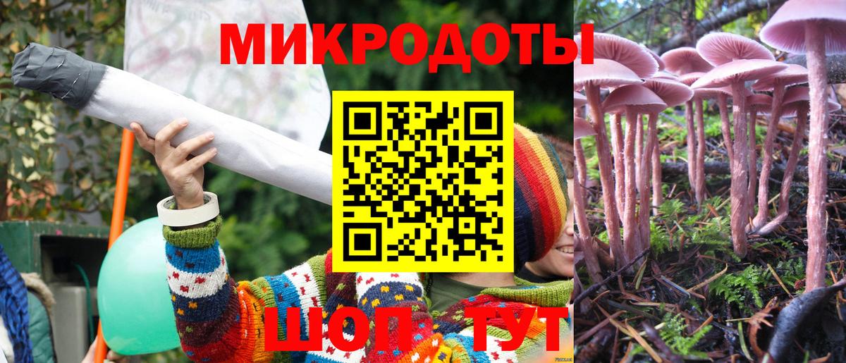 Махачкала  Псилоцибиновые грибы Psilocybine cubensis  Вход с VPN  Псилоцибиновые грибы Magic Shrooms 
